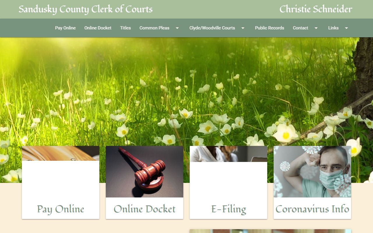 Sandusky County Clerk of Courts page for criminal history records