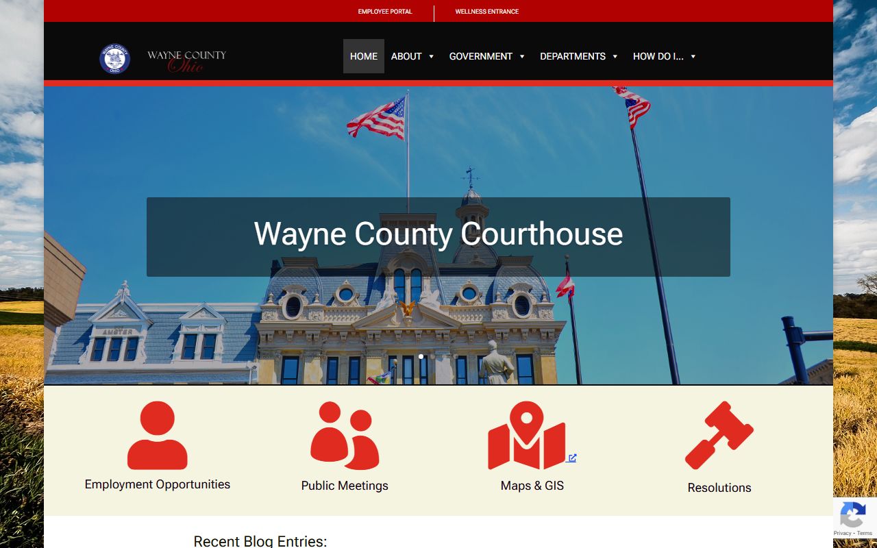 Wayne County Ohio government portal for criminal history records